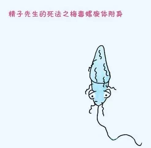 小蝌蚪死了该怎么救活,小蝌蚪的死因