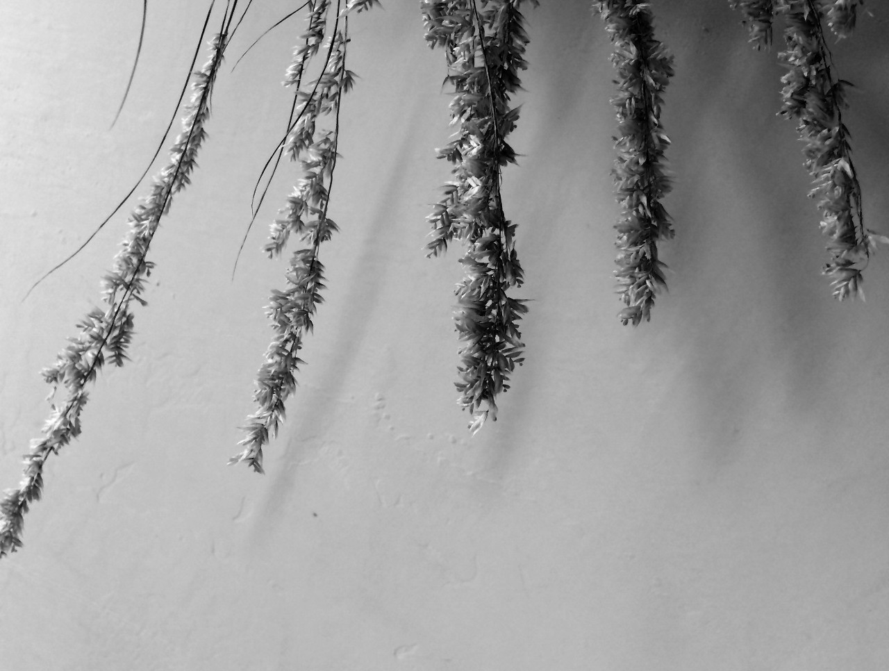 愿你的眼睛依然清澈如孩童般，在时光的尽头闪耀着星星的光芒