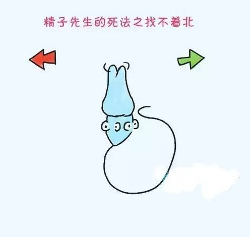 小蝌蚪死了该怎么救活,小蝌蚪的死因