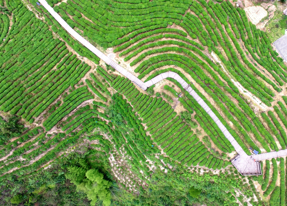 上帝之眼看东营,上帝之眼俯瞰众生