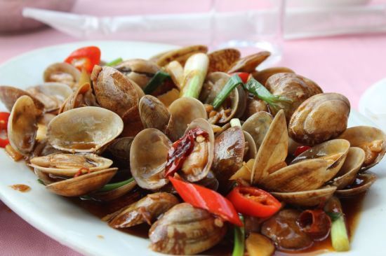 枸杞岛游记,枸杞岛两天一夜最全旅游攻略