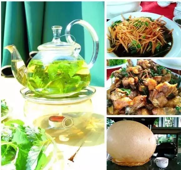 海口休闲度假的10个好去处你一定要知道