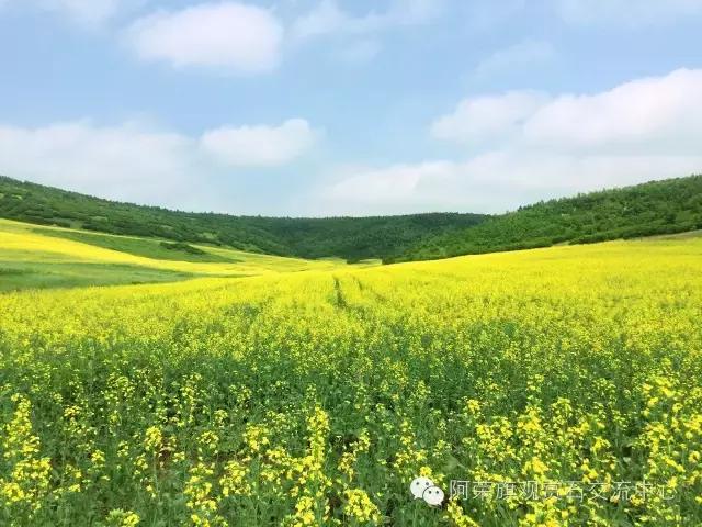 阿荣旗呼伦贝尔,呼伦贝尔市阿荣旗美景