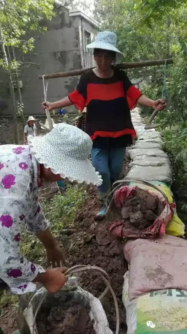 巾帼不让须眉英姿飒爽花木兰,巾帼不让须眉的女英雄花木兰