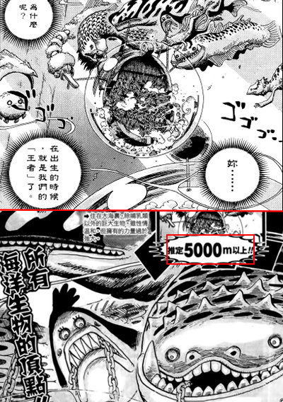 吐槽海贼王动漫更新慢,海贼王漫画吐槽