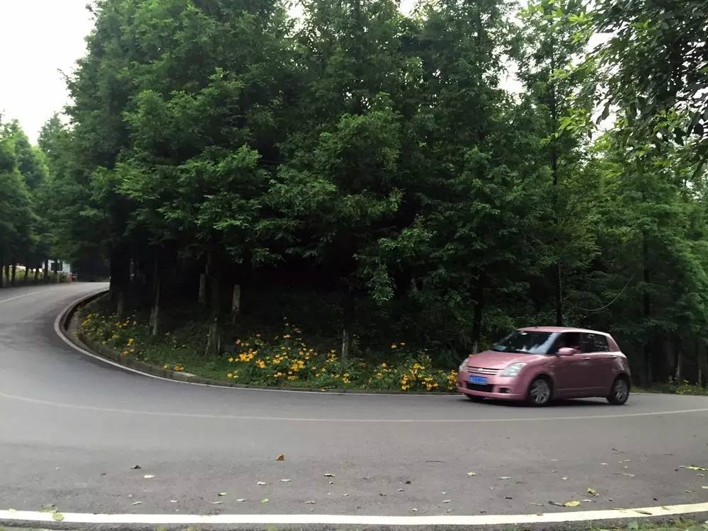 铃木雨燕空间大还是polo空间大,雨燕铃木和polo哪个质量更稳定