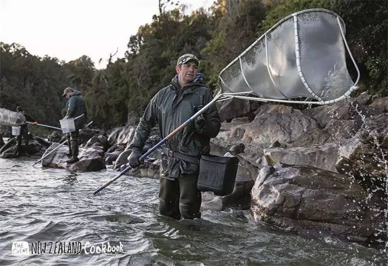新西兰南岛大海,新西兰海鲜哪个最好吃视频