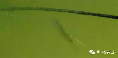 玩家“战船”哪能说翻就翻！