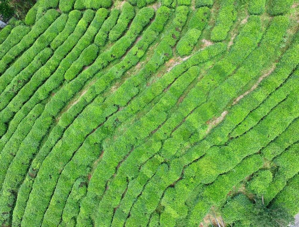 上帝之眼看东营,上帝之眼俯瞰众生