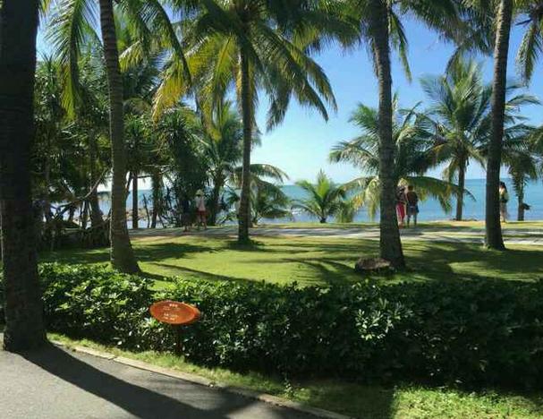 三亚之旅美食攻略,三亚旅游攻略三亚海鲜