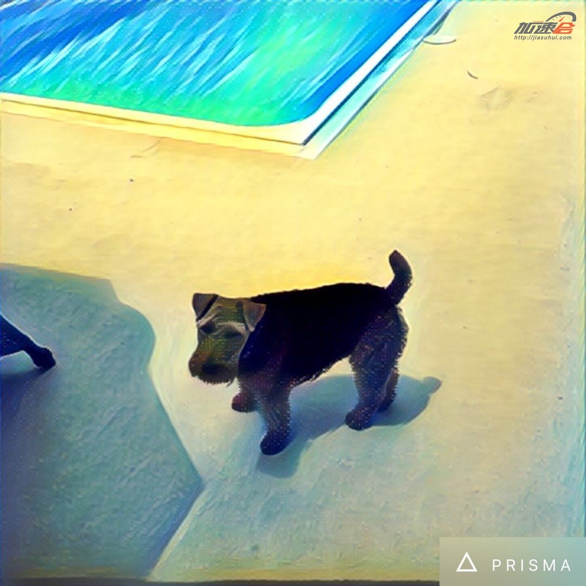 p图软件是ps还是pr,p图软件picsart如何p证件照