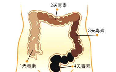 排不出大便就痛,排不出大便并且腰痛