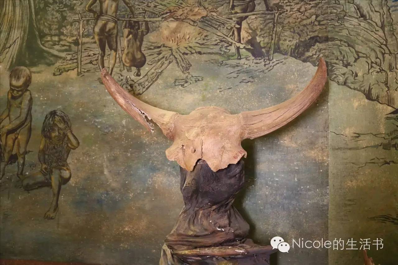 中蒙俄茶叶之路|走近多彩的俄罗斯