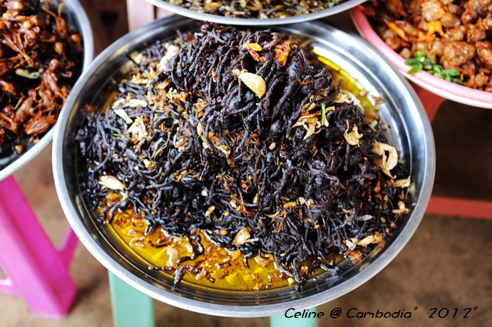 柬埔寨必去景点推荐,柬埔寨旅游必去的九大绝佳景点