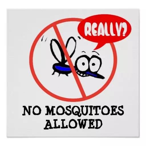 爱招蚊子咬的人说明身体很健康吗,爱招蚊子咬是身体缺少什么