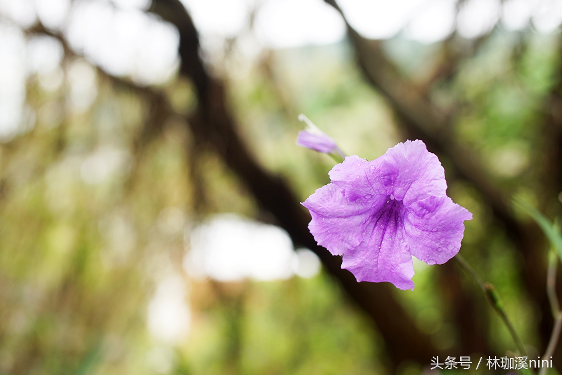 带ni去旅行|台湾三人行——闺蜜照就这么拍