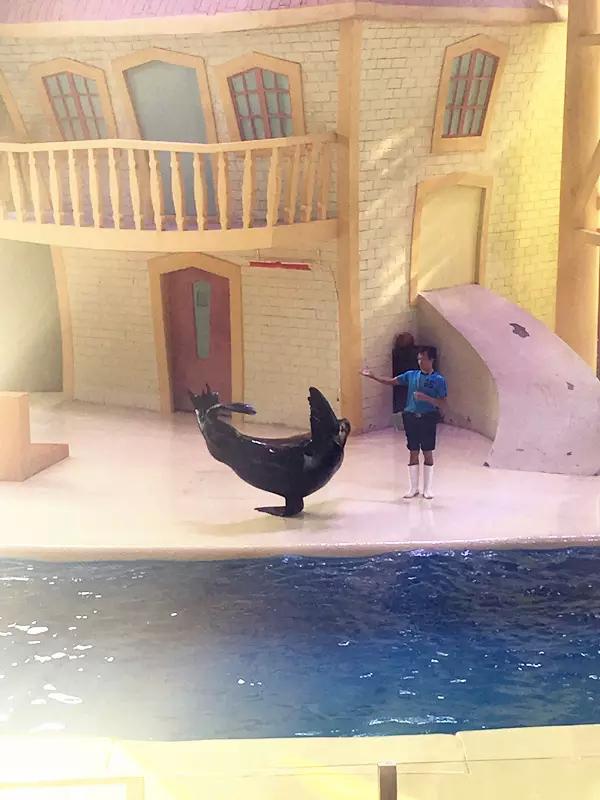 珠海长隆海洋王国游玩攻略暑假,两天一夜珠海长隆海洋王国攻略