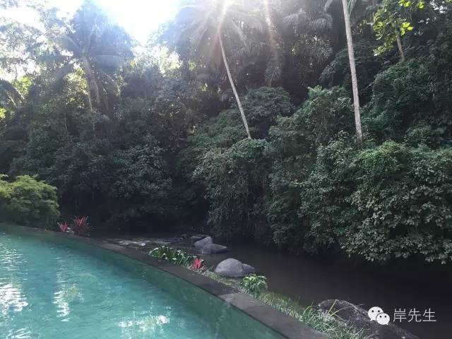 巴厘岛攻略|花155元望着大海享受SPA,神仙也不过如此