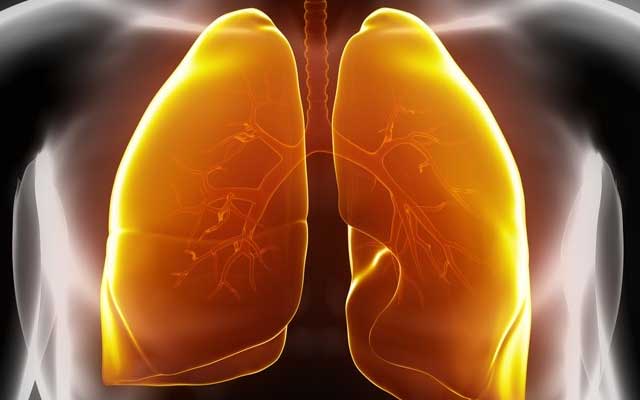 肺气肿诊断书,肺气肿专题报告