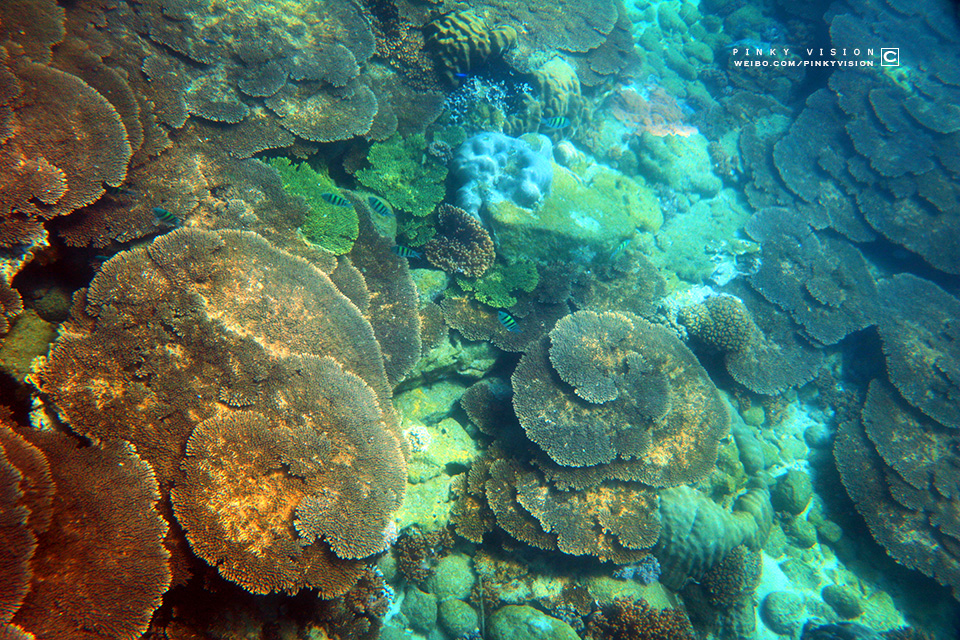 travel环球旅行,travel新旅行