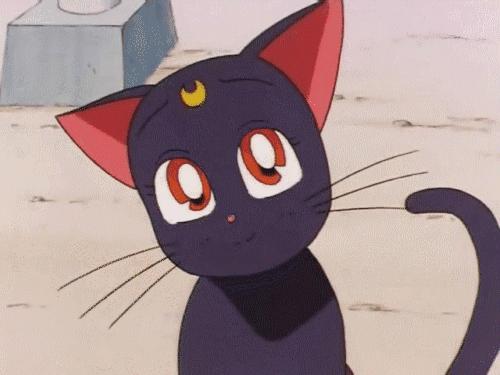 日本哪款素颜霜好,各家素颜霜对比