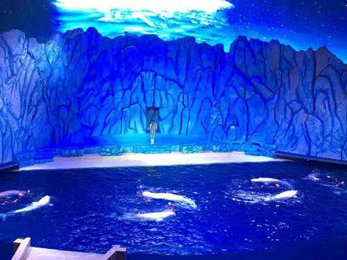 珠海长隆海洋王国游玩攻略暑假,两天一夜珠海长隆海洋王国攻略