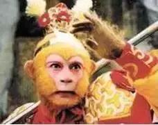 老九门的延续,为何大家都看过老九门