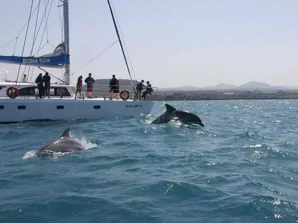 韩国济州岛一个人攻略,韩国济州岛旅行视频