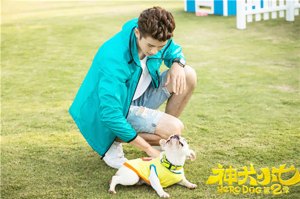 神犬小七2,神犬小七2视频