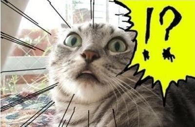 windows7窗口控制菜单的快捷键,windows7tab键