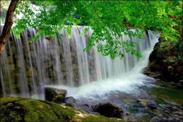 信阳避暑一个月,热吗来珠海避暑