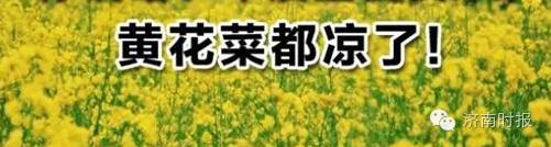 江湖险恶到处都是真的吗,济南到处都是的广告