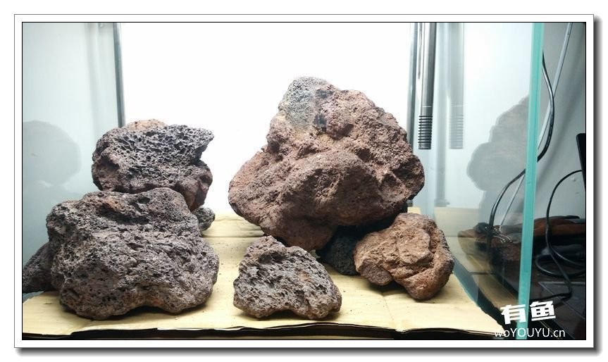 新手小白原生缸开缸教程,鱼缸怎么用高锰酸钾开缸详细教程