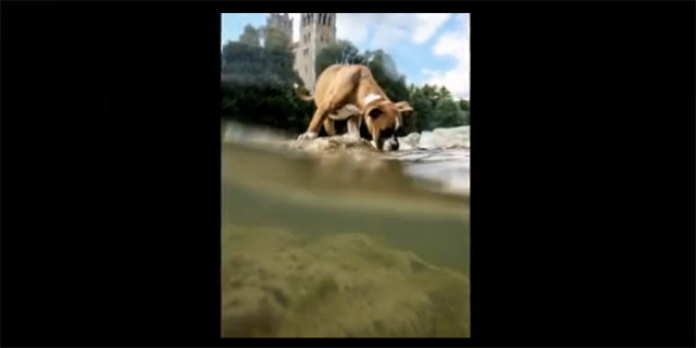 你真的会用手机拍照吗？手机拍照小技巧，以前白玩了