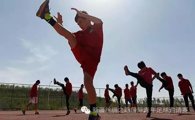 白马呼啸聚天山雪莲花开争斗艳