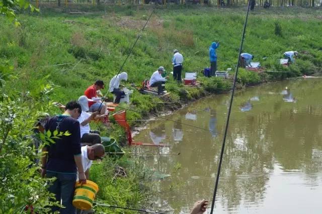 峨眉山自驾游营地,峨眉山旅游营地