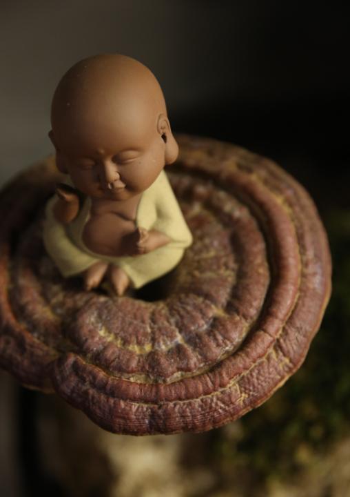 鐏佃姖绁炲浼犺,鐏佃姖鍗冨勾鐝嶅搧