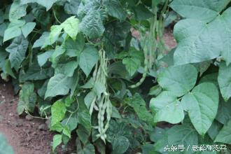 美丽梁平山水田园,印象梁平