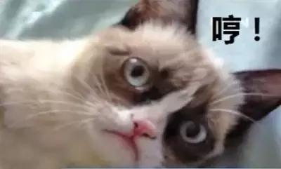 曼谷机场免税店攻略,曼谷机场落地攻略