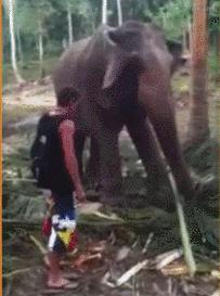 十条笑话,十条短笑话