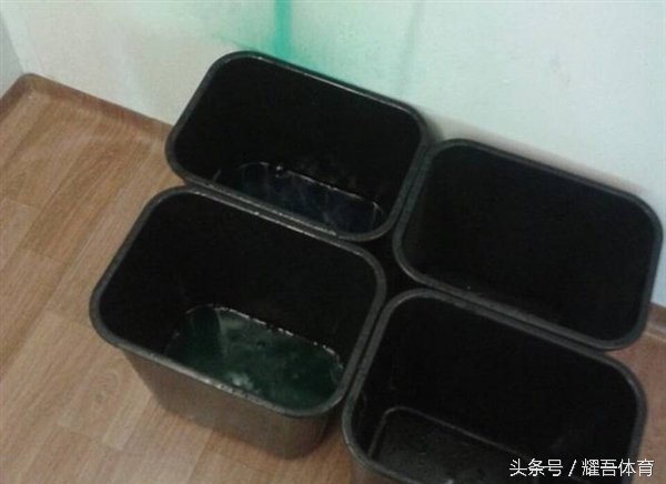 各国运动员吐槽东京奥运村,东京奥运村被吐槽