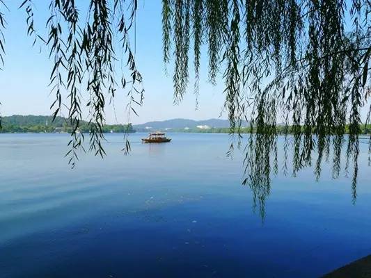 鸡冻!衢州人能坐高铁到云南啦!省了30小时,沿途风景美哭你!