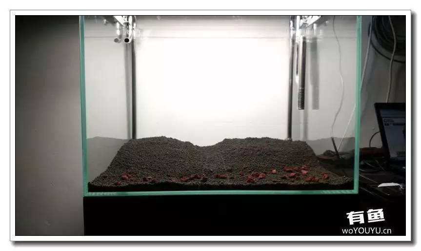 新手小白原生缸开缸教程,鱼缸怎么用高锰酸钾开缸详细教程