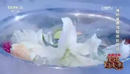 加油向未来的威力,加油向未来涉及物理知识