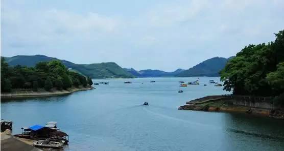 南宁周边农家乐哪里便宜又有果摘,南宁可以摘果的农家乐