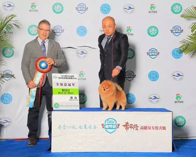 showtime精彩集锦,showtime剧情介绍