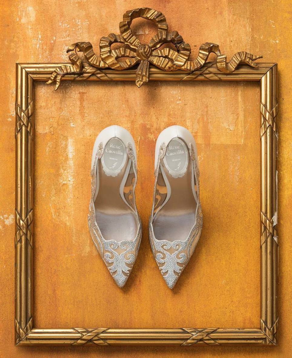 娱乐圈的虐狗行为,娱乐圈虐狗事件