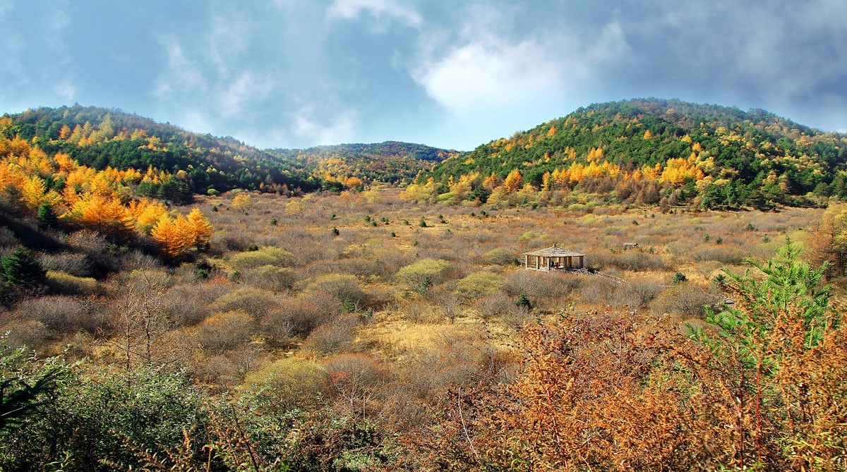 陕西100个示范村名单 (陕西省级示范村名单)