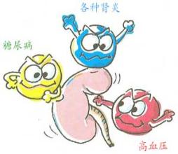 谨防肾脏疾病变成尿毒症,赶紧看这篇!