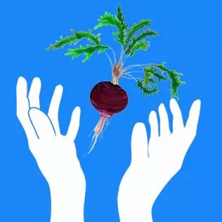 云南丽江玛咖价格是多少,丽江高原蛹虫草玛咖片多少钱一盒